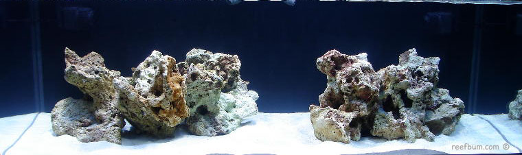 Real Reef Rock, Decoration