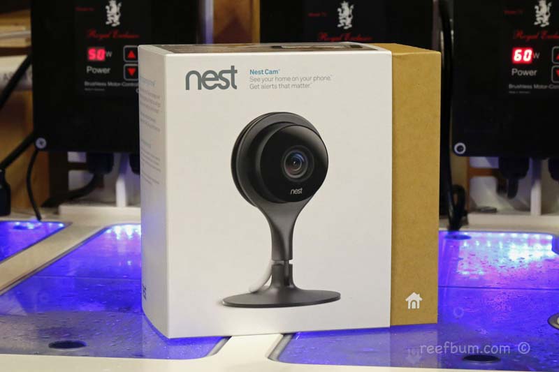 Nest Cam Review