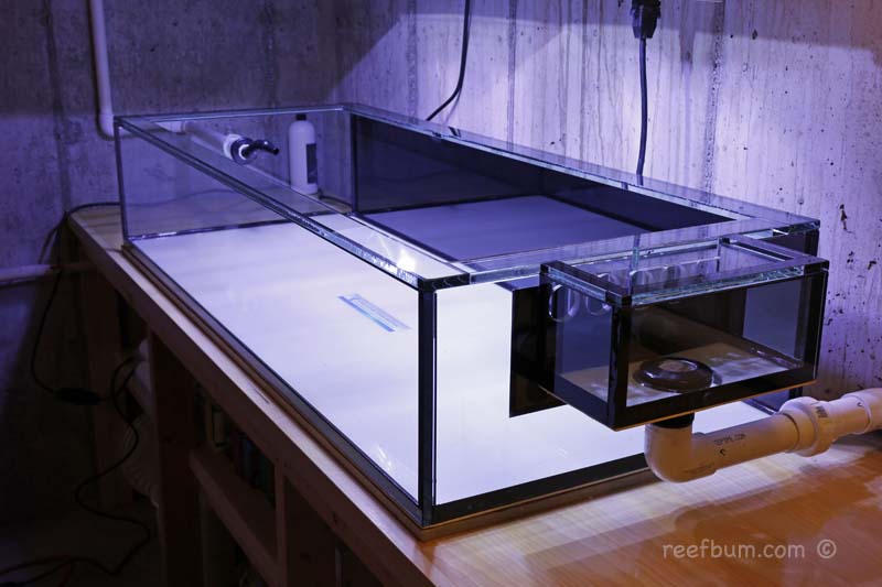 Coast To Coast Custom Aquariums Frag Tank