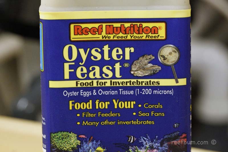 Oyster-Feast