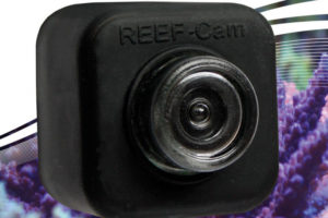 IceCap REEF-Cam