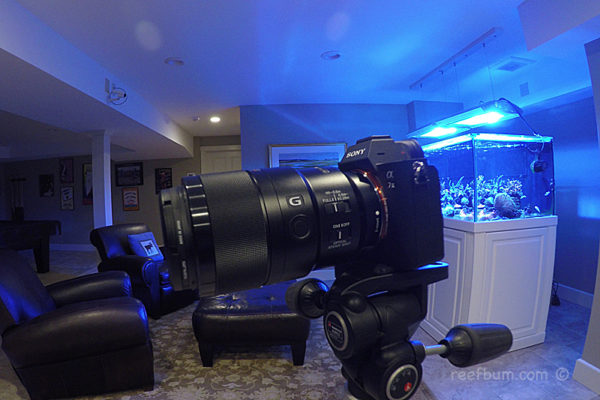 View of Best Camera For a Reef Tank? - ReefBum