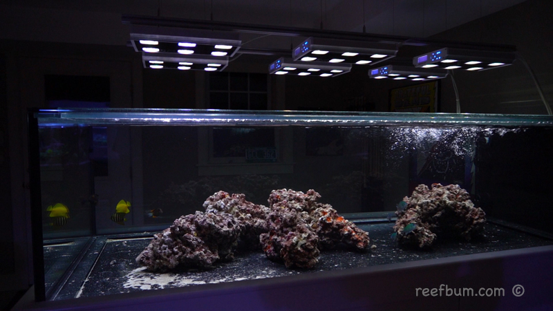 Peninsula Tank Build - Aquascaping - ReefBum