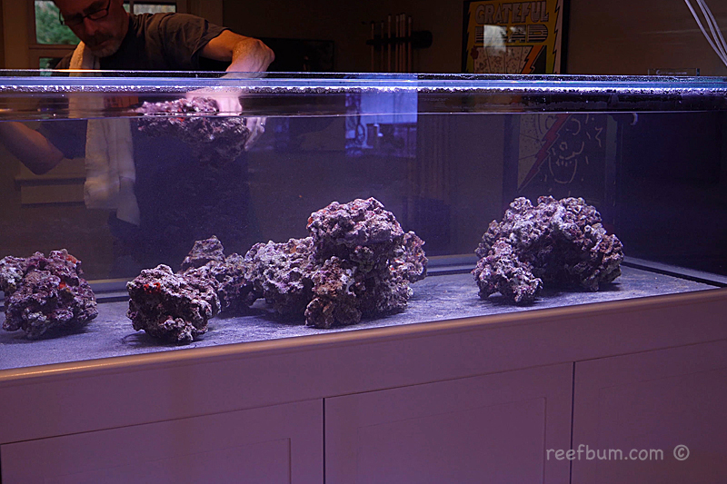 Cycling Reef Tank