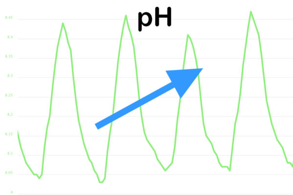 Curated visual reference: Visual Reference: 5 Tips To Raise Ph In A Reef Tank