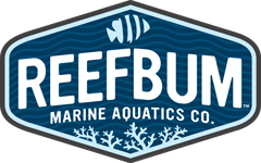 ReefBum logo
