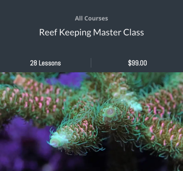 Reef Keeping Master Class