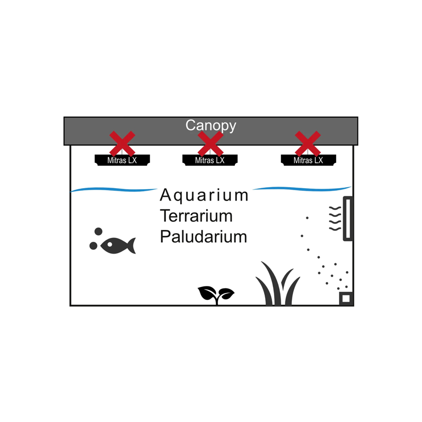 Mitras LX 7204 - ReefBum