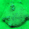 ACI Emerald Forest