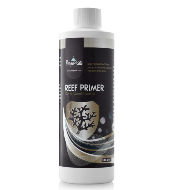 Reef-Primer polyp lab