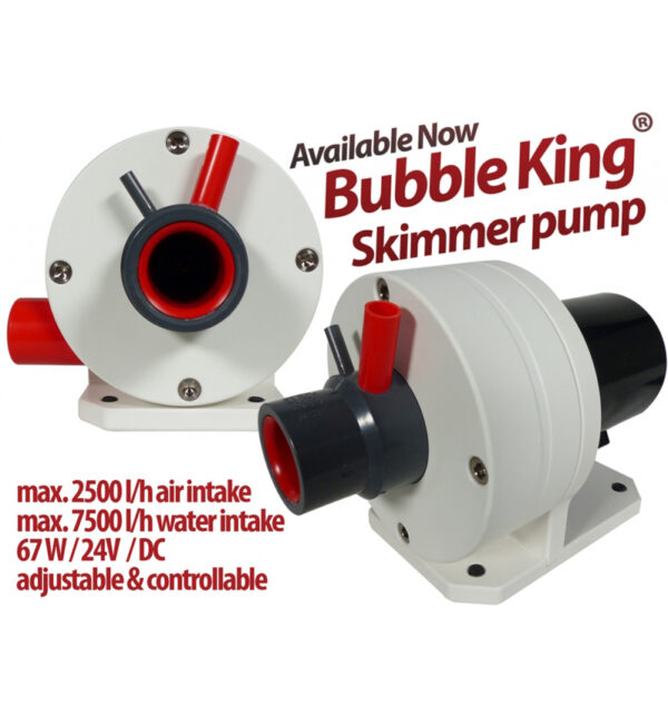 Red Dragon® Bubble King® skimmer pump DC 67 Watt : 2.500 l:h with 24V Technology for Bubble King® DeLuxe 200 - 250 - 300