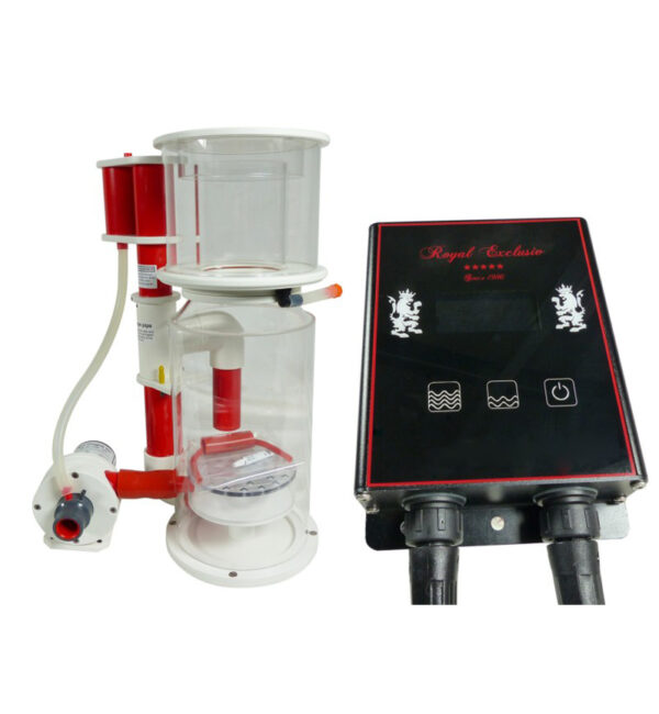 Red Dragon® Bubble King® skimmer pump DC 67 Watt : 2.500 l:h with 24V Technology for Bubble King® DeLuxe 200 - 250 - 300