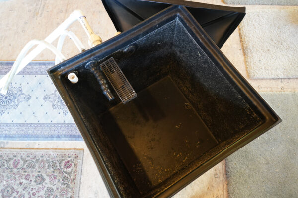 cryptic sump